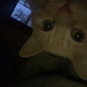 Meet your Posher, Xxbrooklynbbyxx